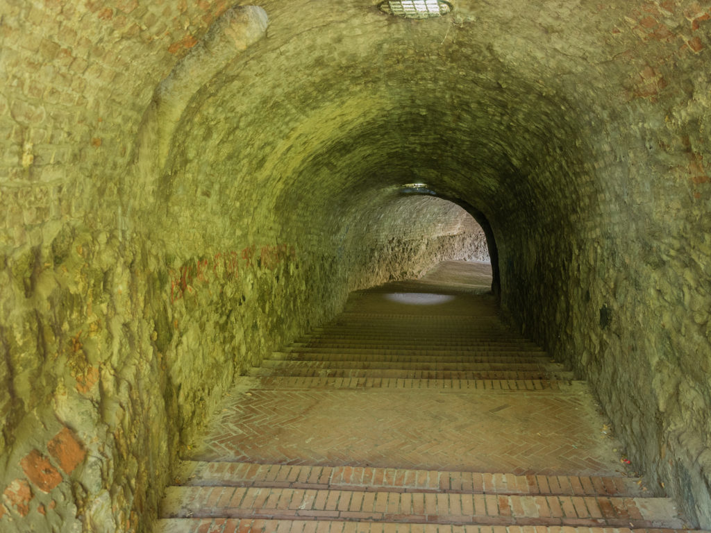 Skype Past Life Regression